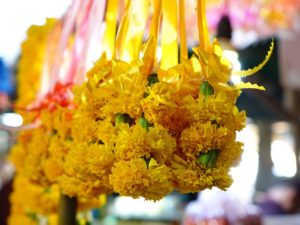 マツリカの花言葉が怖い サンパギータの花言葉 ジャスミンの花言葉も怖い フィリピンの花言葉の意味と花を贈る文化 海外アドレスホッパーdanの 自由人量産計画
